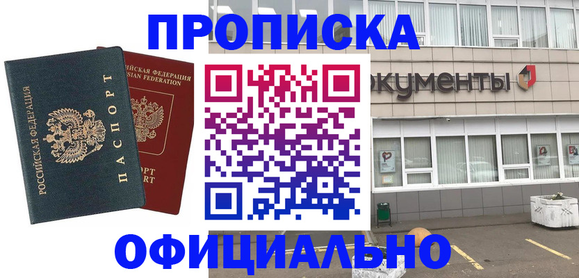 прописка поиск в Ельне